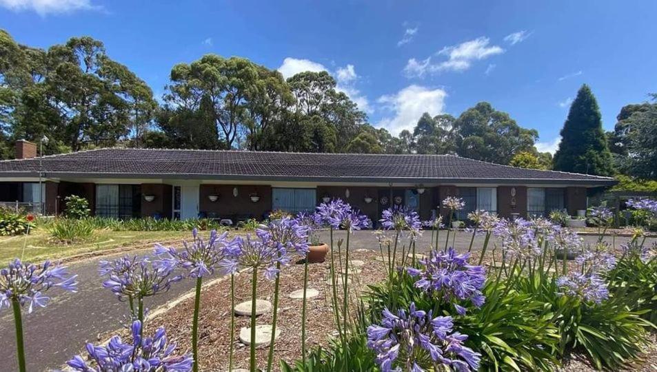 Heavenly Farm B & B Tasmania Boat Harbour Exterior foto